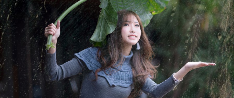 售价1599元！索尼精英手柄疑出新版本 认证文件流出